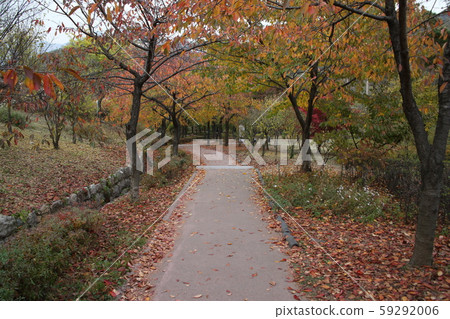 A. Hanyang. Doseong. A. Hanyang. Doseong. 59292006