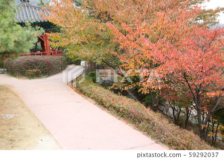 A. Hanyang. Doseong. A. Hanyang. Doseong. 59292037