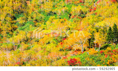 Tsugaike Nature Park (Autumn) 59292905