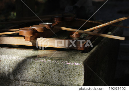 小國神社早春 59293602