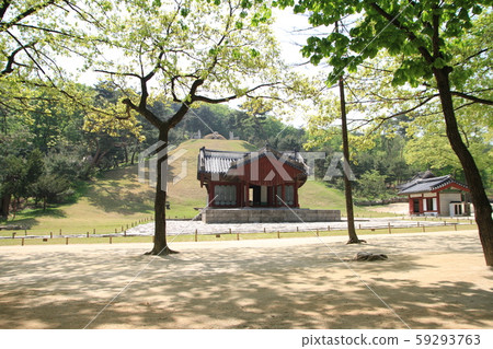 Jeongneung Landscape 59293763