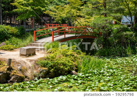 Shubashi和Nakanoshima大原野神社Serizawa池塘 59295798