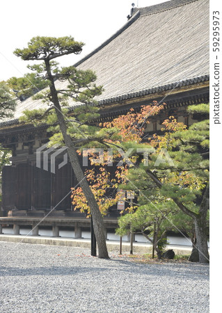 [京都府] Sanjusangendo 59295973