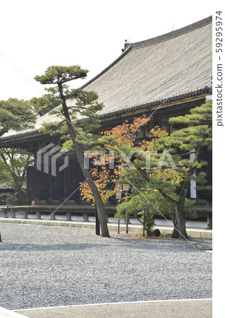 [京都府] Sanjusangendo 59295974