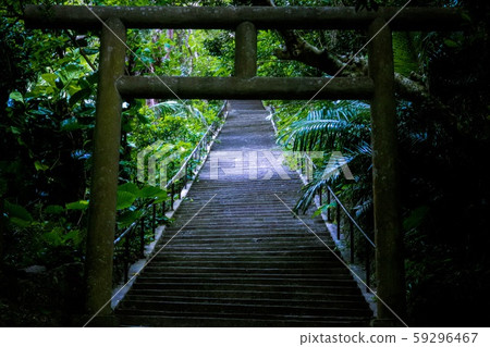 Torii Torii 59296467