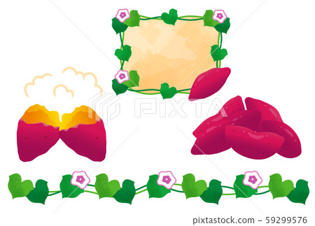 Sweet potato 59299576