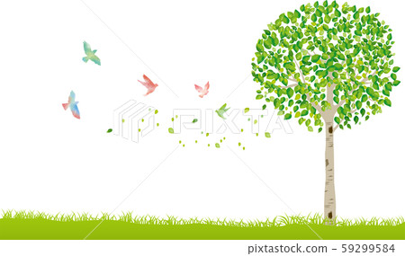 樹:樹幹樹枝性質綠葉新鮮的綠色新芽初夏夏季春季生態綠 樹:樹幹樹枝性質綠葉新鮮的綠色新芽初夏夏季春季生態綠 59299584