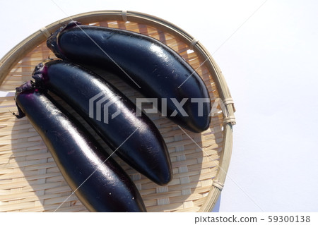 eggplant  59300138
