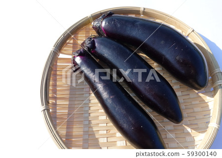 茄子 茄子 59300140