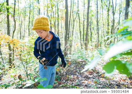 秋天享受采摘蘑菇 59301484