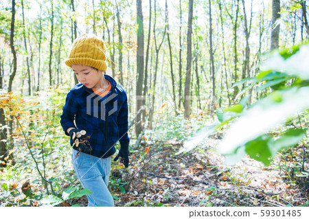 秋天享受采摘蘑菇 59301485