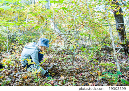 Autumn enjoying mushroom picking Autumn enjoying mushroom picking 59302899