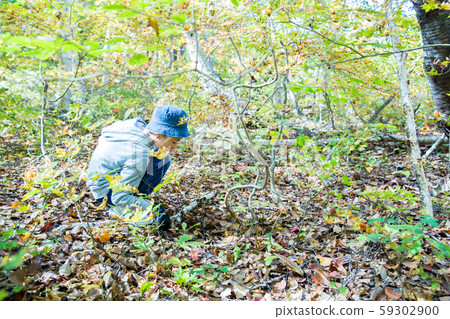 Autumn enjoying mushroom picking Autumn enjoying mushroom picking 59302900