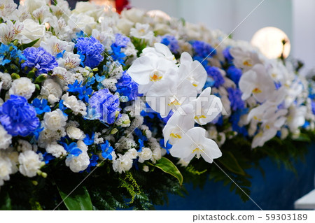 祭壇花 祭壇花 59303189
