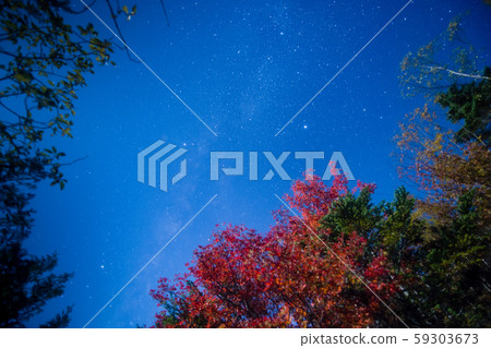 白城池的星空和月光下的紅葉 59303673