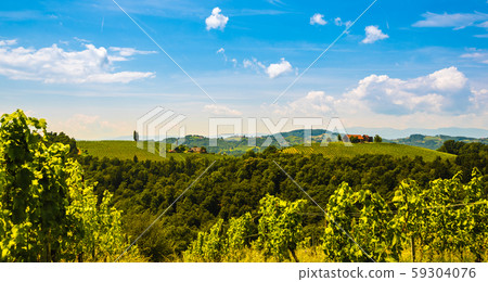 Vineyards in south styria in Austria. Landscape of 59304076