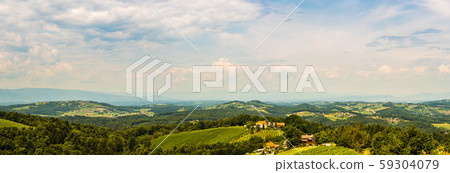Panorama of Vineyards in south styria in Austria. 59304079