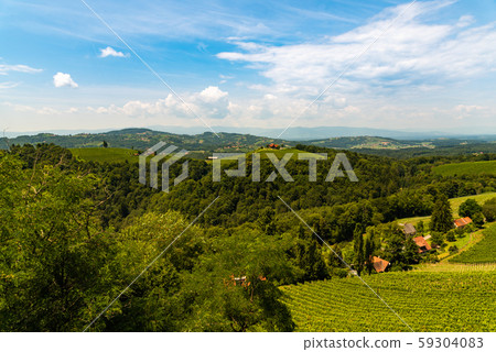 Vineyards in south styria in Austria. Landscape of 59304083