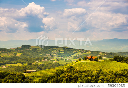 Vineyards in south styria in Austria. Landscape of 59304085
