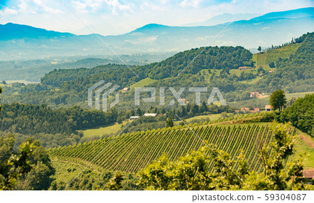 Vineyards in south styria in Austria. Landscape of 59304087
