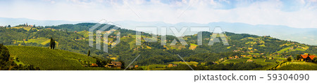 Panorama of Vineyards in south styria in Austria. 59304090