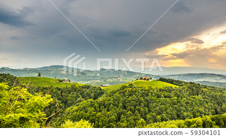 Vineyards in south styria in Austria. Landscape of 59304101