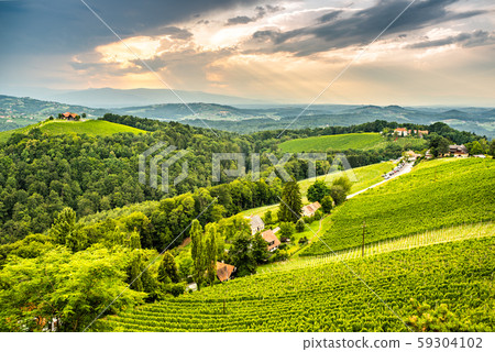 Vineyards in south styria in Austria. Landscape of 59304102