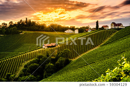 Moody landscape of south Styrian grape hills. 59304129