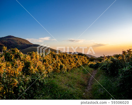 [Shizuoka Prefecture Izu Peninsula] Evening view from the Izu Sanryuu Line sidewalk [Autumn/Dharma Mountain Area] 59306020