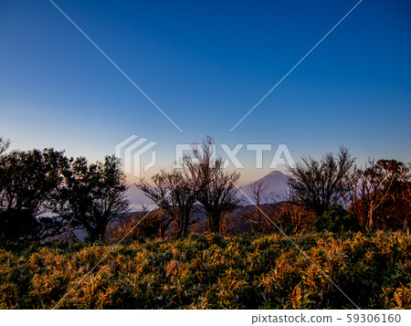 [Shizuoka Prefecture Izu Peninsula] Evening view from the Izu Sanryuu Line sidewalk [Autumn/Dharma Mountain Area] 59306160