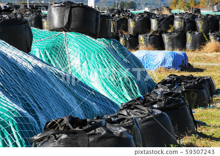 Pollutant 59307243