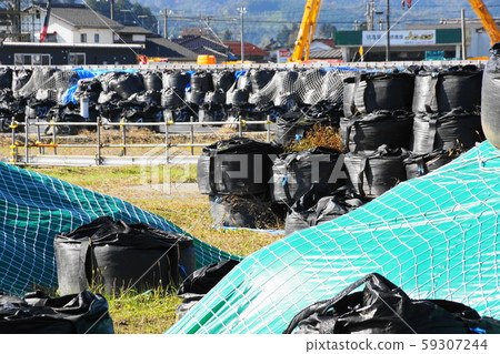 Pollutant Pollutant 59307244