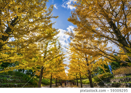 福島縣福島市Azuma體育公園 福島縣福島市Azuma體育公園 59309295