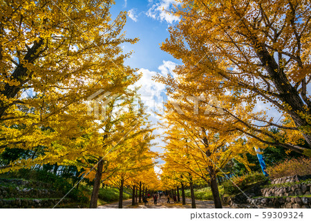 Azuma Sports Park, Fukushima City, Fukushima Prefecture Azuma Sports Park, Fukushima City, Fukushima Prefecture 59309324