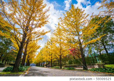 福島縣福島市Azuma體育公園 福島縣福島市Azuma體育公園 59309325