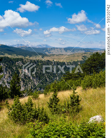 Summer Tara Canyon in mountain Durmitor National 59310742