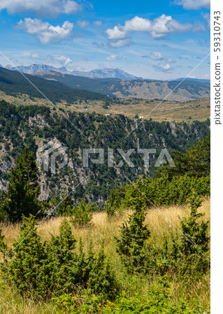 Summer Tara Canyon in mountain Durmitor National Summer Tara Canyon in mountain Durmitor National 59310743