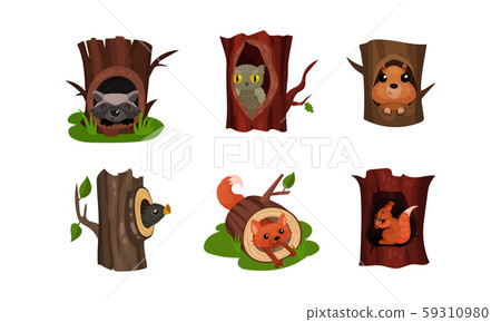 Adorable Little Birds And Animals Hidden In The Hollows Of Trees In A Park Or Forest Vector Adorable Little Birds And Animals Hidden In The Hollows Of Trees In A Park Or Forest Vector 59310980
