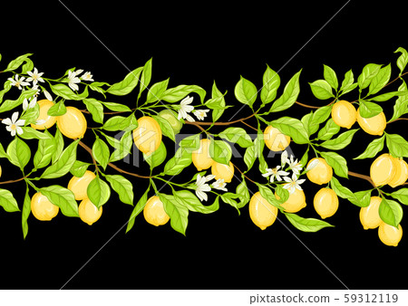 Lemon tree branch with lemons - Stock Illustration [59312119] - PIXTA