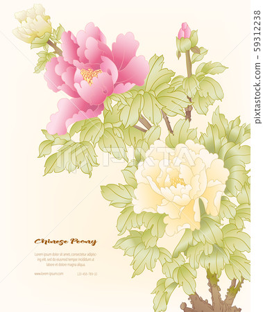 Peony tree branch with flowers Peony tree branch with flowers 59312238