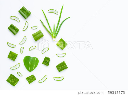Aloe vera is a popular medicinal plant for health Aloe vera is a popular medicinal plant for health 59312373