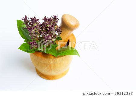 Sweet Basil leaves with flower in wooden mortar Sweet Basil leaves with flower in wooden mortar 59312387