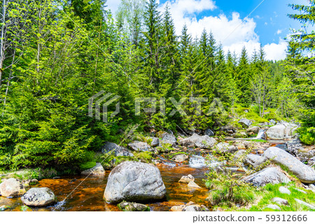 Jizera river full of granite rocks on sunny summer day, Jizera Mountains, Czech Republic 59312666