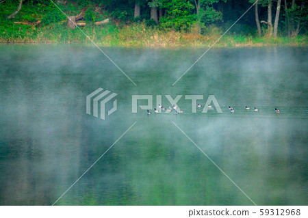 中津湖霧籠罩[長野縣] 59312968