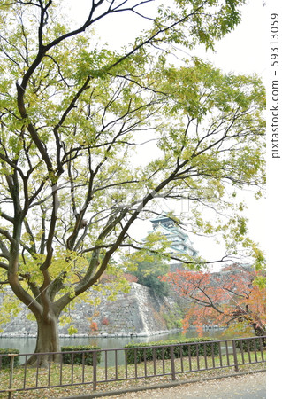 Castle with greenery and autumn leaves 59313059