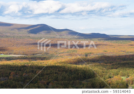 Onuma superb view 59314043