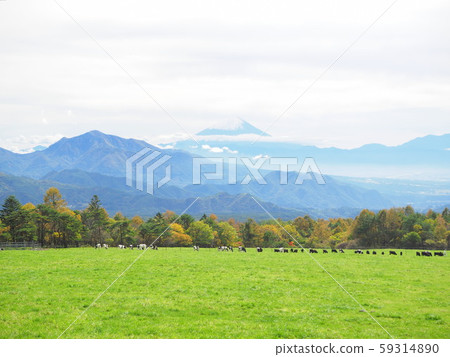 清裡秋色 59314890