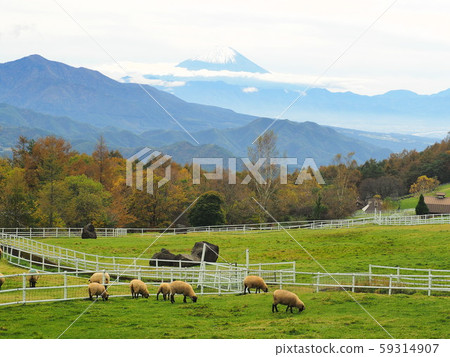 Kiyosato Makiba Park Autumn Scenery, Yamanashi Prefecture, October Kiyosato Makiba Park Autumn Scenery, Yamanashi Prefecture, October 59314907