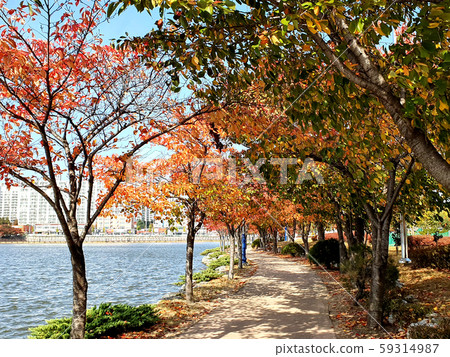 Nature, Landscape, Autumn, Deciduous, Nature, Scenery, Fallen leaves 59314987