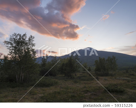 Beautiful wild Lapland nature landscape with birch 59315226